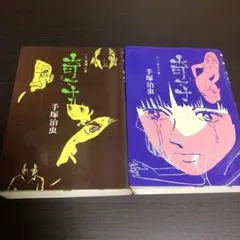 細野晴臣 著書2冊セット 細野晴臣 著書2冊セット - メルカリ