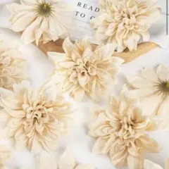 Item thumbnail for item 77ecf1bb-3eb2-4f34-add5-91525c55b1b2