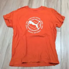 Tシャツ　140cm　プーマ　PUMA