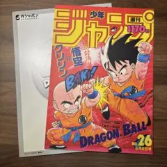 ドラゴンボール ポスターコレクション