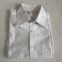 Item thumbnail for item 311f8566-6b43-4201-aa89-674630d3e785