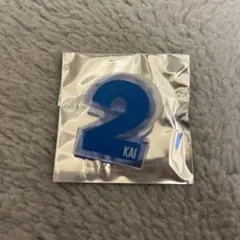 超特急 カイ　ペンライトアクセサリー