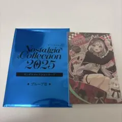 Nostalgia Collection 2025 グループB