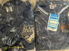 Item thumbnail for item 98b42e4c-bc7b-437b-9a2f-5793621fe71b