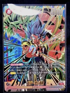 $レイシオン $様 リクエスト 2点 まとめ商品