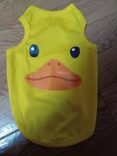 Item thumbnail for item 0dc414e0-4e4a-461d-a74e-f078596c4fb2