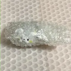ポケモンセンター まるくなる トゲデマル