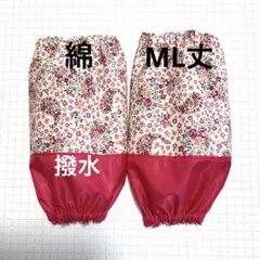 Item thumbnail for item 41e7b9be-8430-455e-ae4e-0ddf5e6a6acb