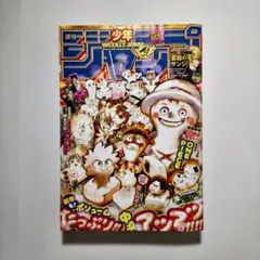 週刊少年ジャンプ 5・6号☆2022年1月22日23日号☆付録付き - メルカリ