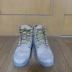 Item thumbnail for item 1a06b0fc-382a-4309-9a21-9e44d7b73304