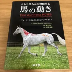 メカニズムから理解する馬の動き パフォーマンス向上のためのビジュアルガイド