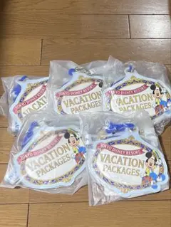 東京ディズニーリゾート バケーションパッケージ パスケース5個セット