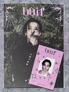 StrayKids☆DO IT accordion バンチャン ID付き