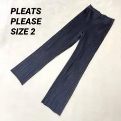 2025年最新】イッセイミヤケ プリーツプリーズパンツの人気