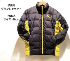 160 ダウン 身幅