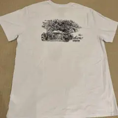 patagonia Tシャツ30周年限定 木と風景のイラスト