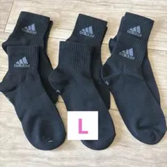 Item thumbnail for item 63d02d86-3a14-4385-b496-5084bb300caa