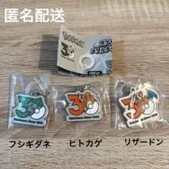 ポケモン 30周年 メタルチャームマスコット POKEMON めじるし