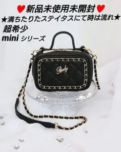 希少レアRadyミニチェーンバニティバッグ新品未使用未開封