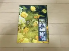 美しい彼 パンフレット