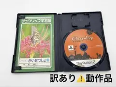 【訳あり⚠️動作確認済】中古PS2ソフトチュウリップ Chulip必ずお読み下さい