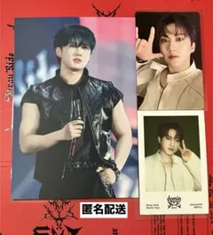 スキズ　dominATE SEOUL FANS特典ポスカ　封入トレカ　チャンビン