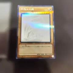 青眼の白龍 (光属性)　ホログラフィックパラレルレア