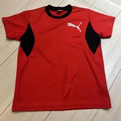 PUMA⭐︎トレーニングウェア140㌢