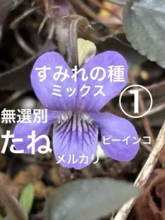 ★キナリ☆様 リクエスト 3点 まとめ商品