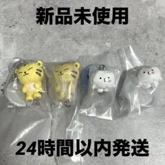 MINITEEN つまんでつなげてますこっとでらっくす シャスミ 4個セット