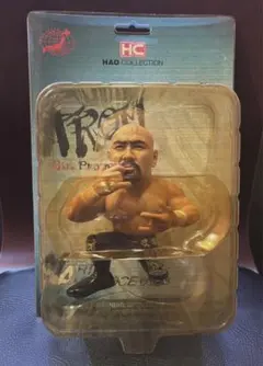 武藤敬司 HAOコレクション フィギュア 全日本プロレス 新日本プロレス ムタ Amazon.co.jp: HAOコレクション フィギュア 8体 武藤敬司