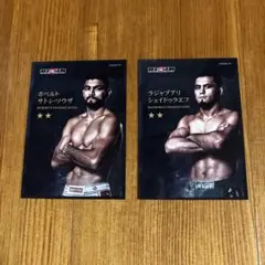 Item thumbnail for item 81c76985-f074-4358-8180-c99a09afd412