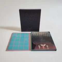 椎名林檎 林檎博 年女の逆襲 RINGO EXPO 14 DVD