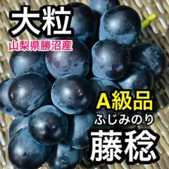 【まさみ】藤稔の粒　箱込1kg弱 まさみ様専用】藤稔の粒 箱込1kg弱 - メルカリ