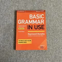 BASIC GRAMMAR IN USE