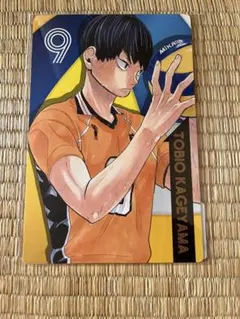 2025年最新】ハイキュー!! 影山飛雄 ポストカードの人気アイテム
