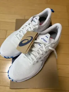 2025年最新】アシックス テニスシューズ 28の人気アイテム