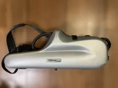 Item thumbnail for item 40ba68dd-d4c8-4c39-896b-0530d8c679c1