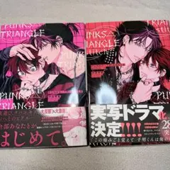 商業BL漫画　沖田有帆先生　パンクストライアングル