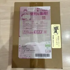 2026年最新】テラスタルフェスex box シュリンク付きの人気アイテム