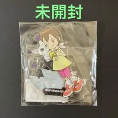 デジモンシリーズ 缶バッジ 八神ヒカリ テイルモン - メルカリ