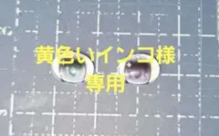 黄色いインコ様専用