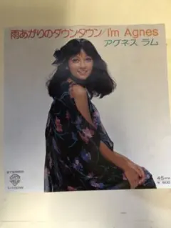 アグネス・ラム 雨あがりのダウンダウン