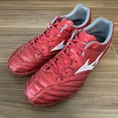 ミズノモナルシーダネオサッカーフットサルトレーニングシューズ25cm