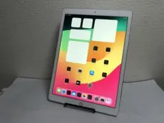 iPad Pro 12.9インチ（第2世代）Wi-Fiモデル256GB No33