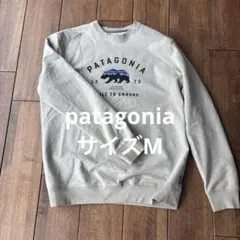 パタゴニア　アップライザルクルー　M