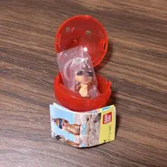 【ガチャガチャ】ディズニーキャラクター めじるしアクセサリー Summer