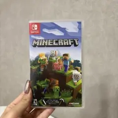Minecraft Nintendo Switch版