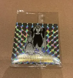 Item thumbnail for item b350b411-a016-46a4-9068-1b72fcf0b8a7