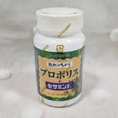 Item thumbnail for item 07f890c0-3538-4b93-b6ec-d1cbcc65790a